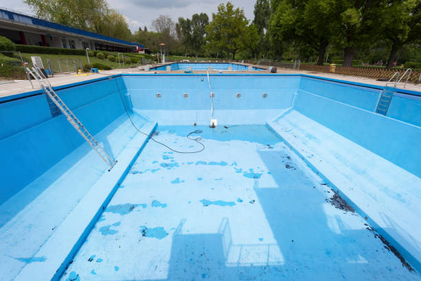 Best Mold removal after water damage  in Darnestown, MD