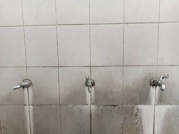 Best Ceiling water damage repair  in Darnestown, MD