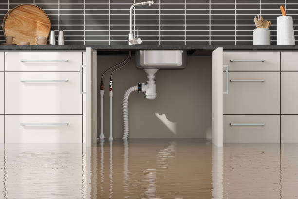 Best Water damage restoration near me  in Darnestown, MD